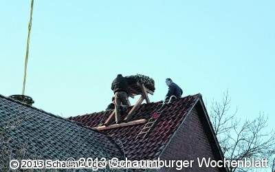 Wohnhaus für eine weitere Storchenfamilie eingerichtet