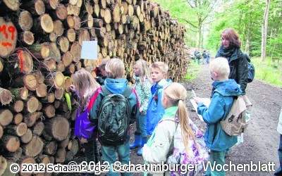 Erlebnisreicher Spieletag im Wald