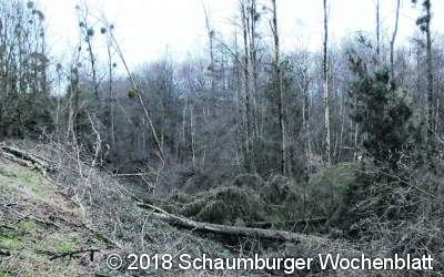 Starke Orkanböen halten Helfer auf Trab