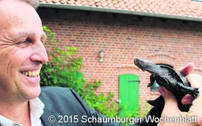 Sympathieträger Sumpfschildkröte