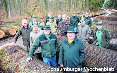 Knapp eine halbe Million Euro für wertvolles Laubholz erzielt
