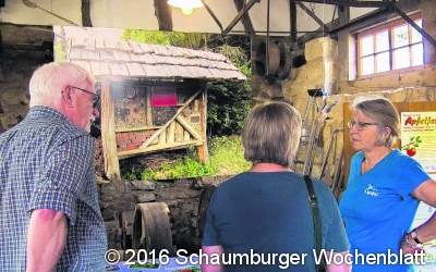 Den eigenen Garten  naturnah gestalten