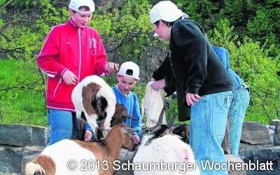 Klettern, Basteln und freier Fall