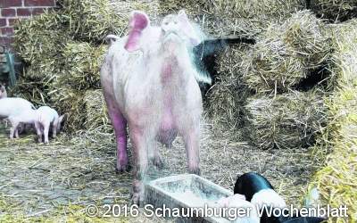 Wieder schwarz- weiße Nacht im Dorf