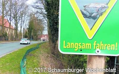 Neue Hilfe für Schwalben und Mauersegler