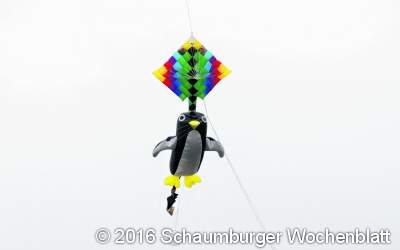 Pinguine und  Seepferdchen