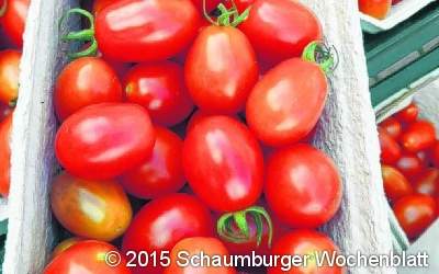 Tomate des Jahres