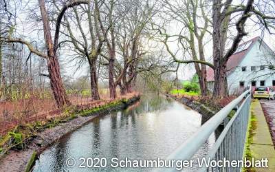Neuer Wasserlauf verbessert ökologische Durchgängigkeit der Rodenberger Aue