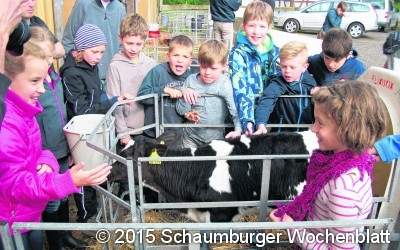 Eintauchen in die Wunderwelt der Milch