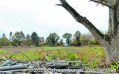 Auf der Steinbult können Häuser entstehen