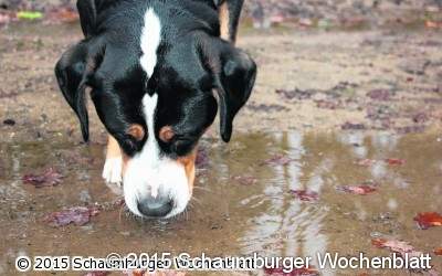 Stille Wasser können gefährlich sein