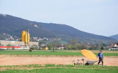 Widerspruch gegen Windkraft-Urteil
