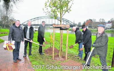 Ein Apfelbaum zum Jubiläum