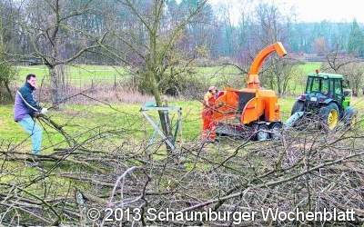 Holzschnitzel als Spinnenbiotop