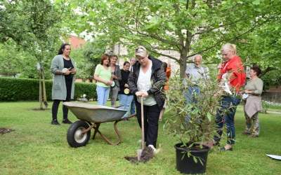„Baum des Lebens“ gepflanzt