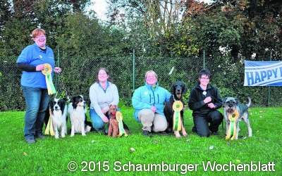 Hunde und Herrchen zeigen ihr Können
