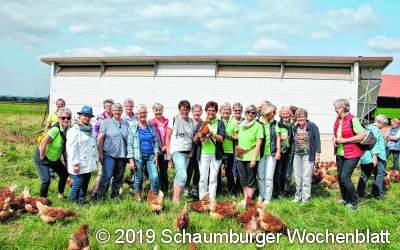 Hühnermobil sorgt für Auslauf