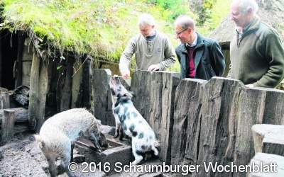 Heimat im Dorf der Tiere