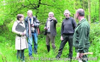Der Wald gibt sein Geheimnis preis