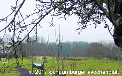 Es fehlt ein Hinweis auf die Obstwiese