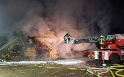 Scheunenbrand fordert zahlreiche tote Rinder