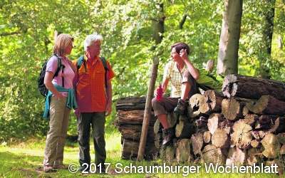 Vielfältigen Wanderspaß im Weserbergland genießen