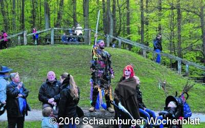 Dreimal schwarzer Wildkater