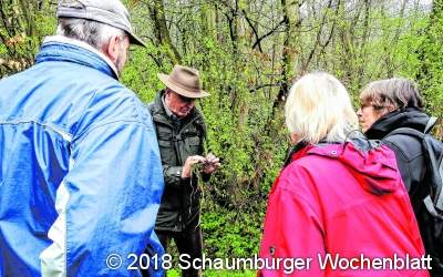 Veilchen, Lerchensporn
und Knoblauchranke