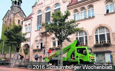 Beleuchtung wieder aufgehängt