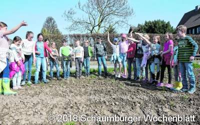 Rinteln wird bienenfreundlich