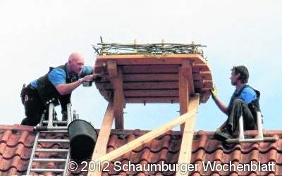 Neue Nistmöglichkeit