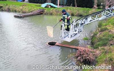 Ente in der Röhre