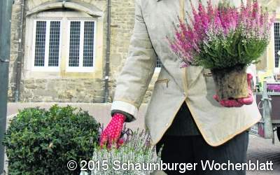 Hübsche Herbstbepflanzung