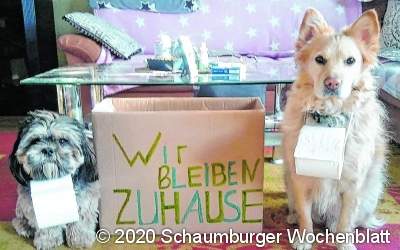 Das sind Hausaufgaben für Hundehalter in der Krise