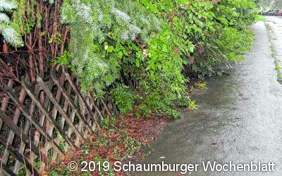 Rückschnitt für die Verkehrssicherheit