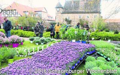 Das Rittergut wird zum Paradies für Gartenfreunde