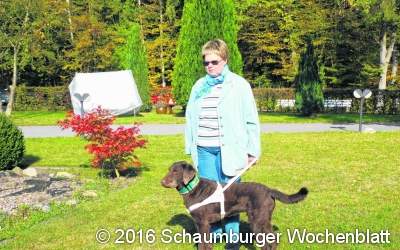 Blindenführhund – Freund und Helfer