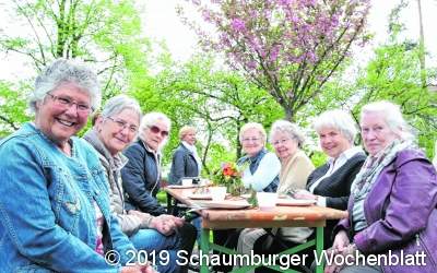 Frühling unter üppiger Blütenpracht genießen