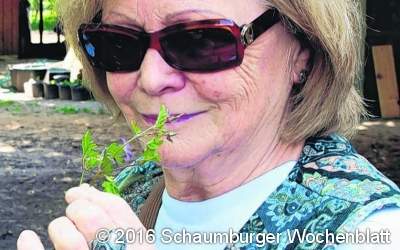 Gegen alles ist ein Kraut gewachsen