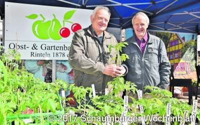 Frühe Reife alter Sorten mit viel Geschmack