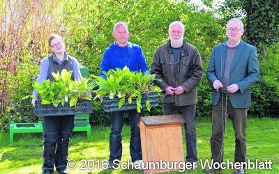Bienenprojekt der Realschule