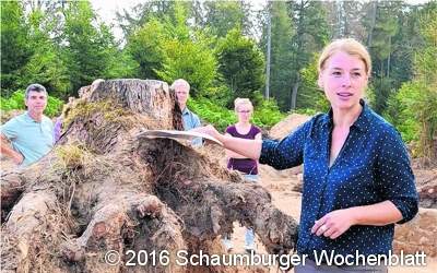 Vortrag über Hügelgräber