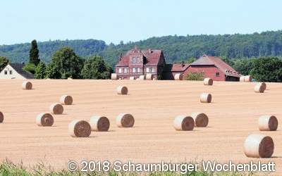 Knochentrockener Sommer belastet heimische Landwirte