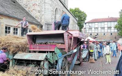 Tierisches Vergnügen auf dem Bauern- und Ökomarkt