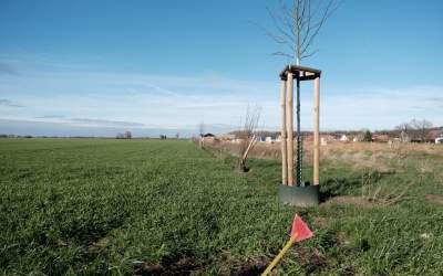 Weiteres Neubaugebiet soll neben „Westlich Kornweg“ entstehen