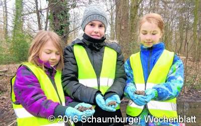 Junge Naturforscher gesucht