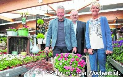 Blühender Frühlingsgruß wartet auf die Kunden