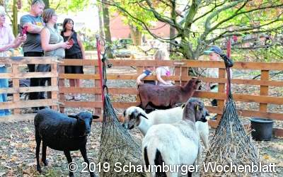 Tiere, Trachten und Traktoren im Kurpark