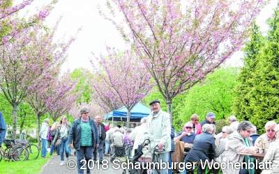 Der Fest-Erlös soll dieses Mal dem Schlossgarten dienen