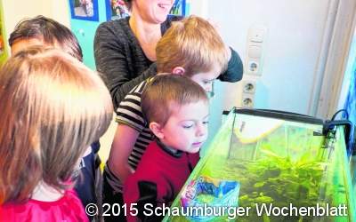 Neues Aquarium für Kindertagesstätte